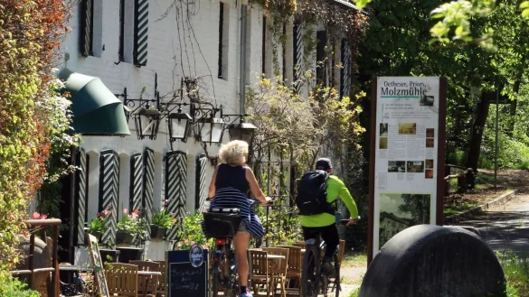 - &copy; Bernd F. Meier/dpa-tmn