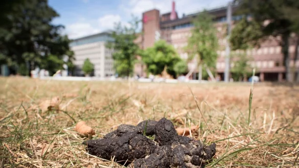 - &copy; Martin Gerten/dpa/Symbolbild