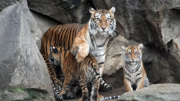 - &copy; Philipp Brandst&auml;dter/dpa