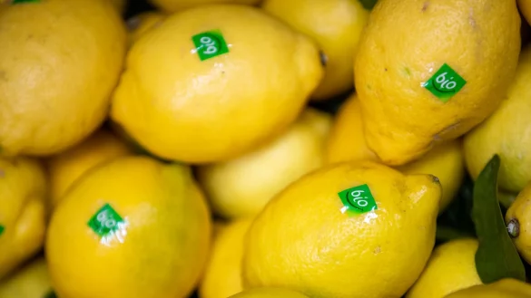 - &copy; Daniel Karmann/dpa