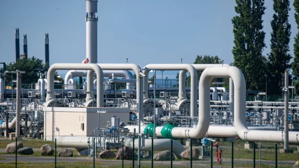 - &copy; Stefan Sauer/dpa