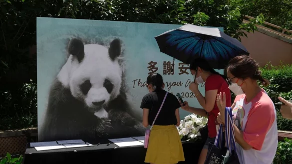 - &copy; Kin Cheung/AP/dpa