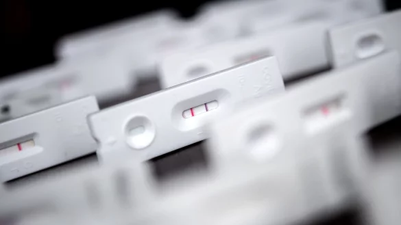 - © Sina Schuldt/dpa/Illustration