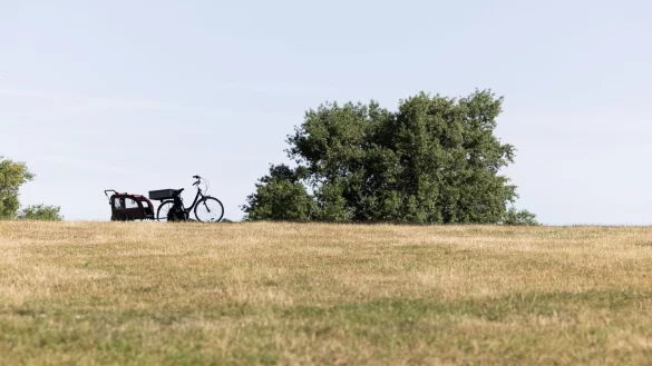 - © Rolf Vennenbernd/dpa