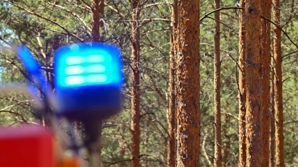 - &copy; Patrick Pleul/dpa-Zentralbild/ZB