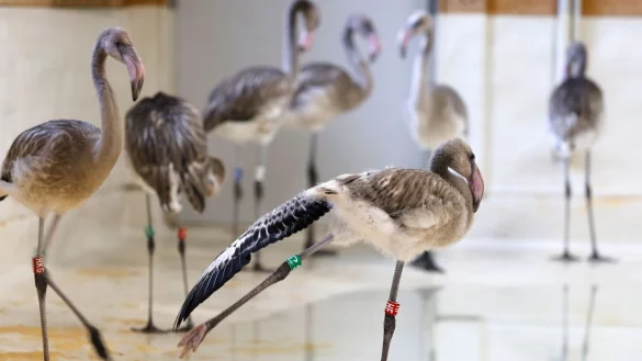 - &copy; Thomas Banneyer/dpa