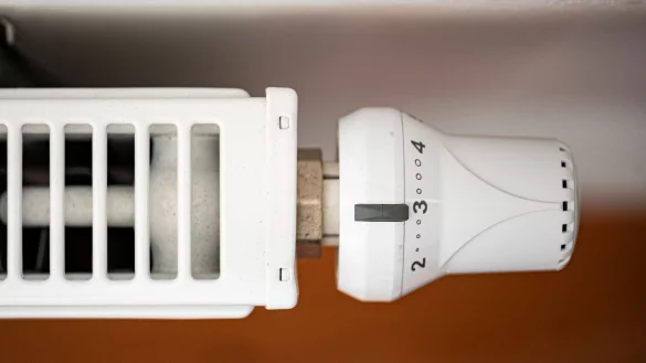 - © Fabian Sommer/dpa/dpa-tmn