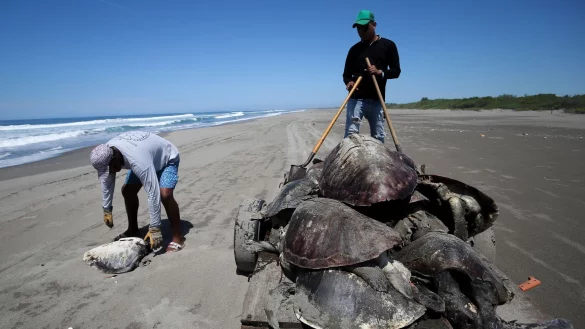 - © Gabriela Sanabria Santos/dpa