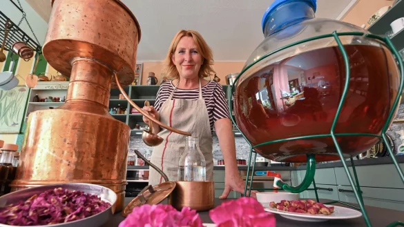 Elena von Gieck, Inhaberin des Rosenlaboratoriums Templin, verarbeitet in ihrem Laboratorium Rosenbl&auml;tter zu kulinarischen Kreationen. - &copy; Patrick Pleul/dpa