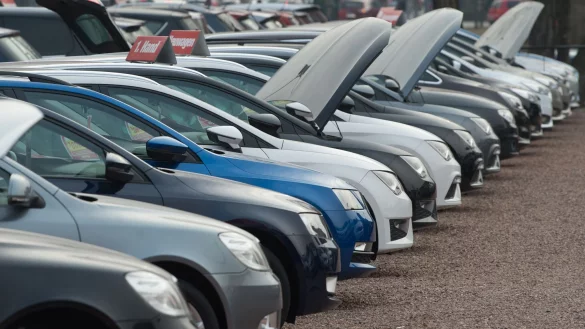 - &copy; Sebastian Kahnert/dpa-Zentralbild/dpa