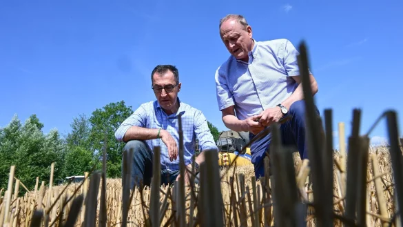 - &copy; Bernd Wei&szlig;brod/dpa