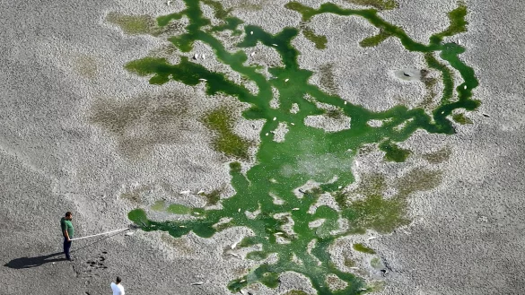 - &copy; Christoph Reichwein/dpa