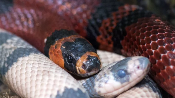 - &copy; Andrea Warnecke/dpa