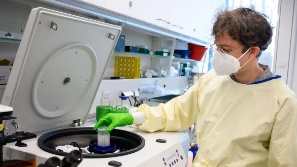 - &copy; Bernd von Jutrczenka/dpa