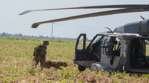 - © Guillermo Juarez/AP/dpa