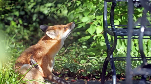 - &copy; Wolfgang Kumm/dpa