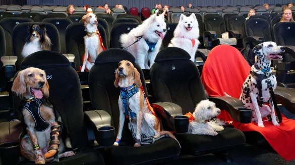 - &copy; Henning Kaiser/dpa