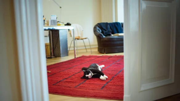 - &copy; Gregor Fischer/dpa