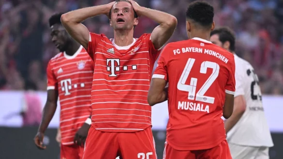 - &copy; Sven Hoppe/dpa