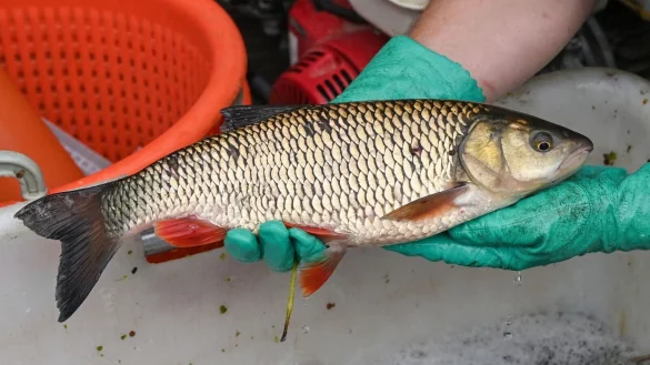 - &copy; Patrick Pleul/dpa