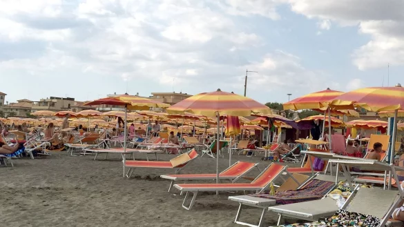 - &copy; Sabine Dobel/dpa