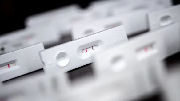 - &copy; Sina Schuldt/dpa