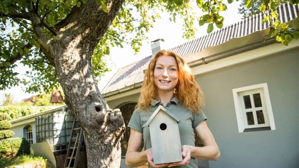 Ein sch&ouml;nes Pl&auml;tzchen daf&uuml;r im Garten suchen: Nistk&auml;sten nutzen V&ouml;gel nicht nur, um dort ihren Nachwuchs aufzuziehen. - &copy; Christin Klose/dpa-tmn