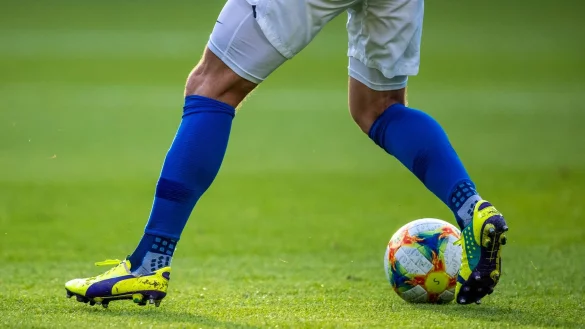 - &copy; Jens B&uuml;ttner/dpa-Zentralbild/ZB/Symbolbild