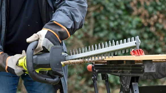 Welche Astst&auml;rke wird noch bew&auml;ltigt? Diesen Versuch haben die Tester von &laquo;selbst ist der Mann&raquo; an frisch geschlagenen Haselnuss-&Auml;sten vorgenommen. - &copy; selbst ist der Mann/dpa-tmn