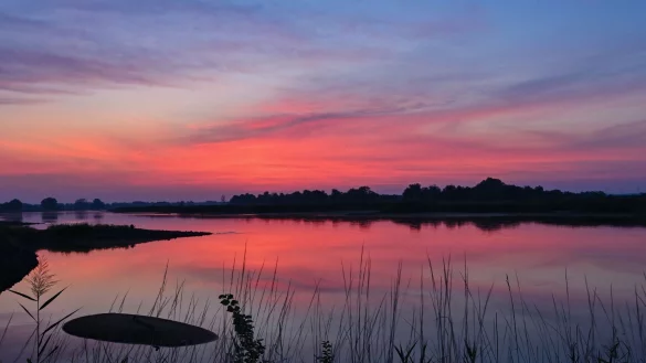 - &copy; Patrick Pleul/dpa