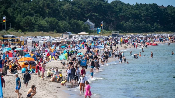 - &copy; Stefan Sauer/dpa