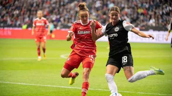 - © Sebastian Gollnow/dpa