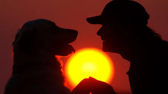 - &copy; Patrick Pleul/dpa-Zentralbild/dpa