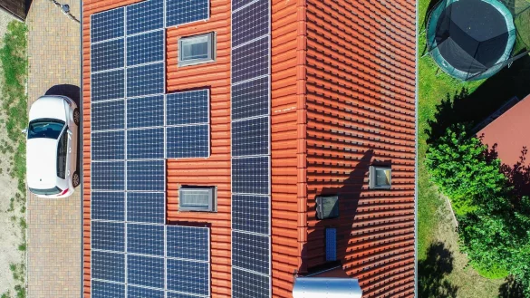 - &copy; Patrick Pleul/dpa-Zentralbild/dpa