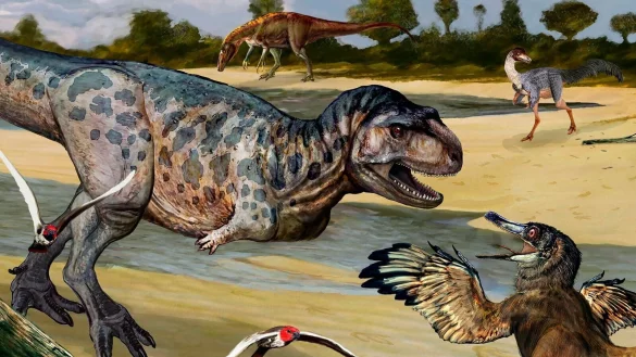 - &copy; ---/telam/dpa