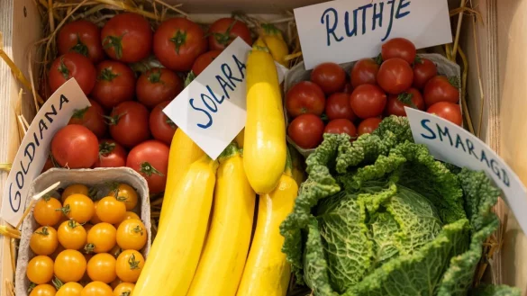 - &copy; Daniel Karmann/dpa