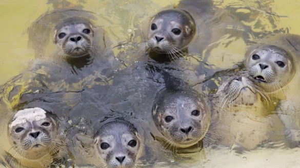 - © Christian Charisius/dpa