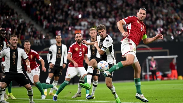 - &copy; Federico Gambarini/dpa