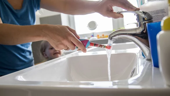 - &copy; Christin Klose/dpa-tmn