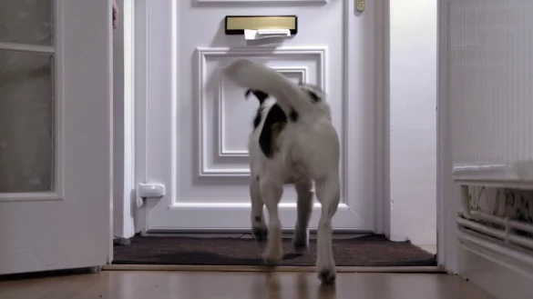 - &copy; Royal Mail/PA Media/dpa