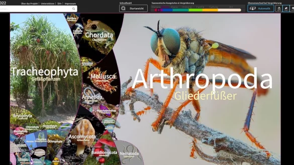 - &copy; lifegate.idiv.de/dpa-tmn/Screenshot