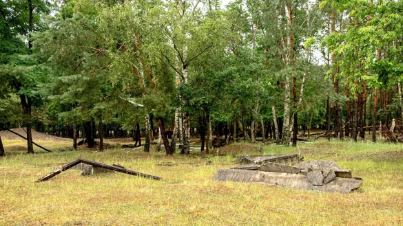 - &copy; Laura Ludwig/dpa-tmn