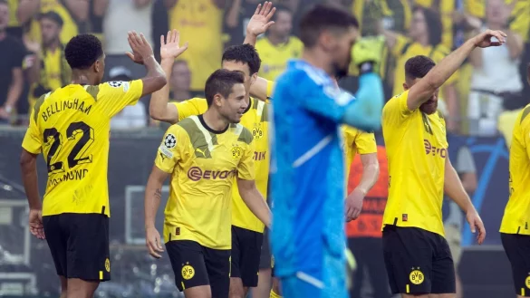 - © Bernd Thissen/dpa