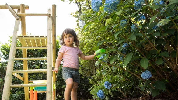 Hat das Kind Beeren, Blüten oder Blätter giftiger Pflanzen in den Mund gesteckt, sollten Eltern rasch handeln und ein Giftinformationszentrum kontaktieren. - © Christin Klose/dpa Themendienst/dpa-tmn