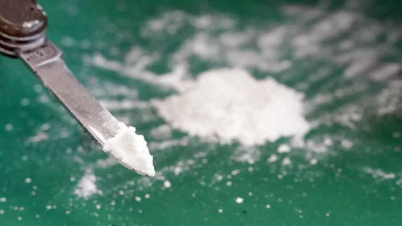 - © Marcus Brandt/dpa