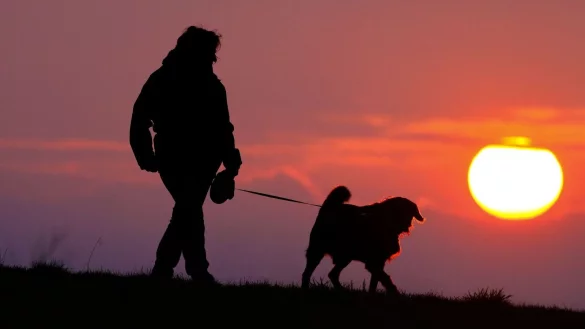 - &copy; Thomas Warnack/dpa