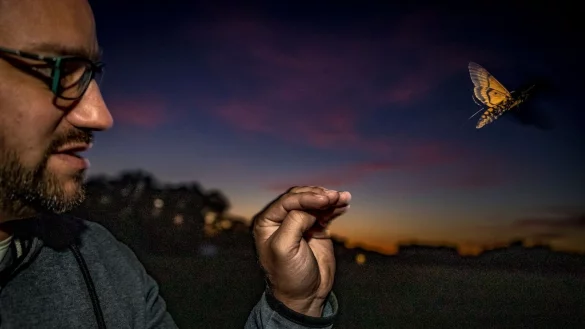 - &copy; Christian Ziegler/Max Planck Institute of Animal Behavior/dpa