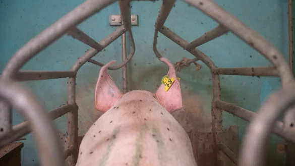 - &copy; Sebastian Gollnow/dpa/Symbolbild