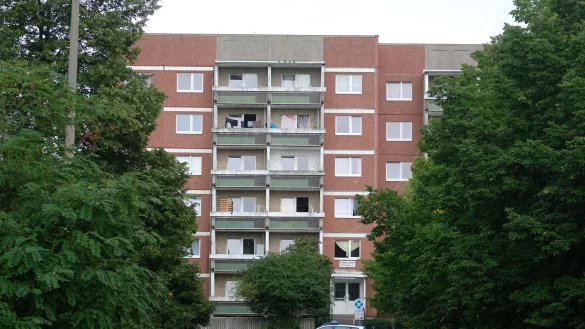 - &copy; Sebastian Willnow/dpa