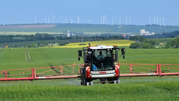 - &copy; Martin Schutt/dpa